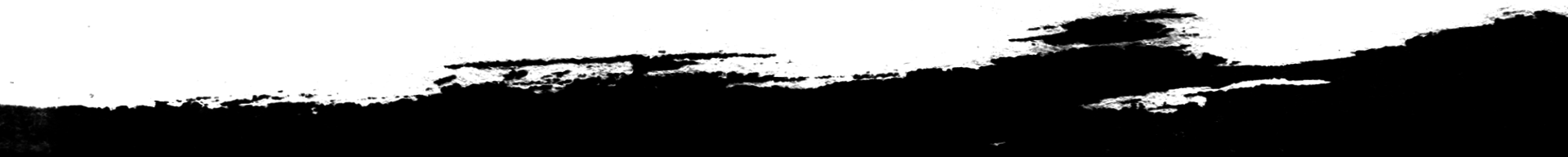 Séparation noire