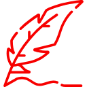 Icône Dsn